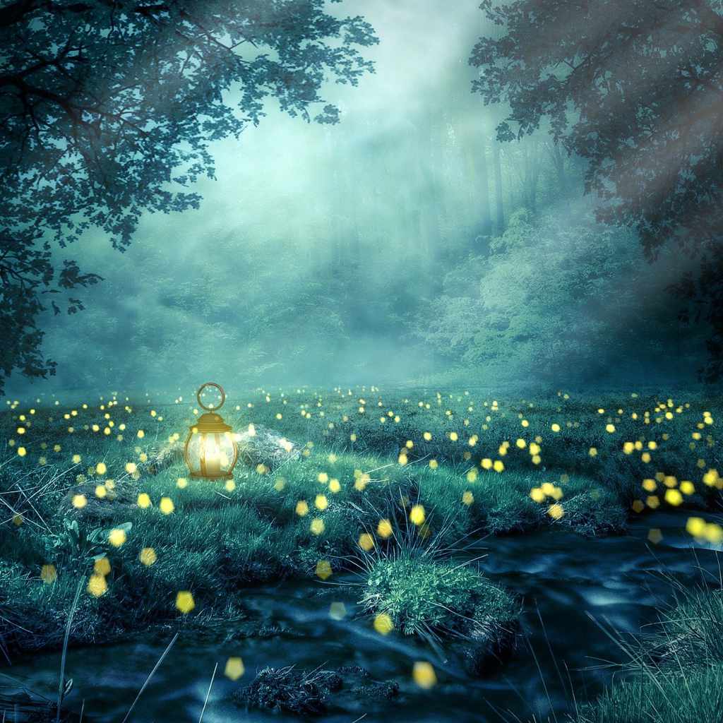 Glühwürmchen mit Laterne bei Nacht im Wald